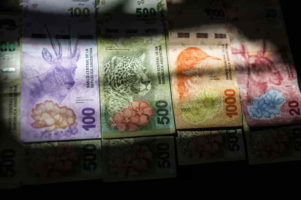 Bonos en Pesos Muestran Desempeno Mixto con Avances en Tasa Fija y CER • El Conejo de Wall Street