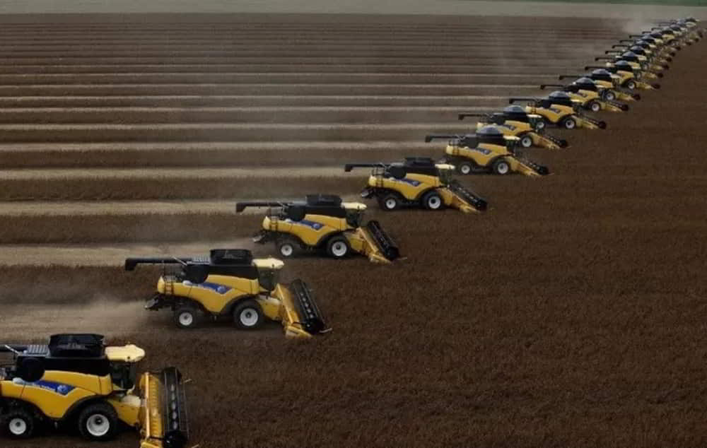 Economia brasilena crece 13 en el primer trimestre impulsada por agricultura e industria • El Conejo de Wall Street