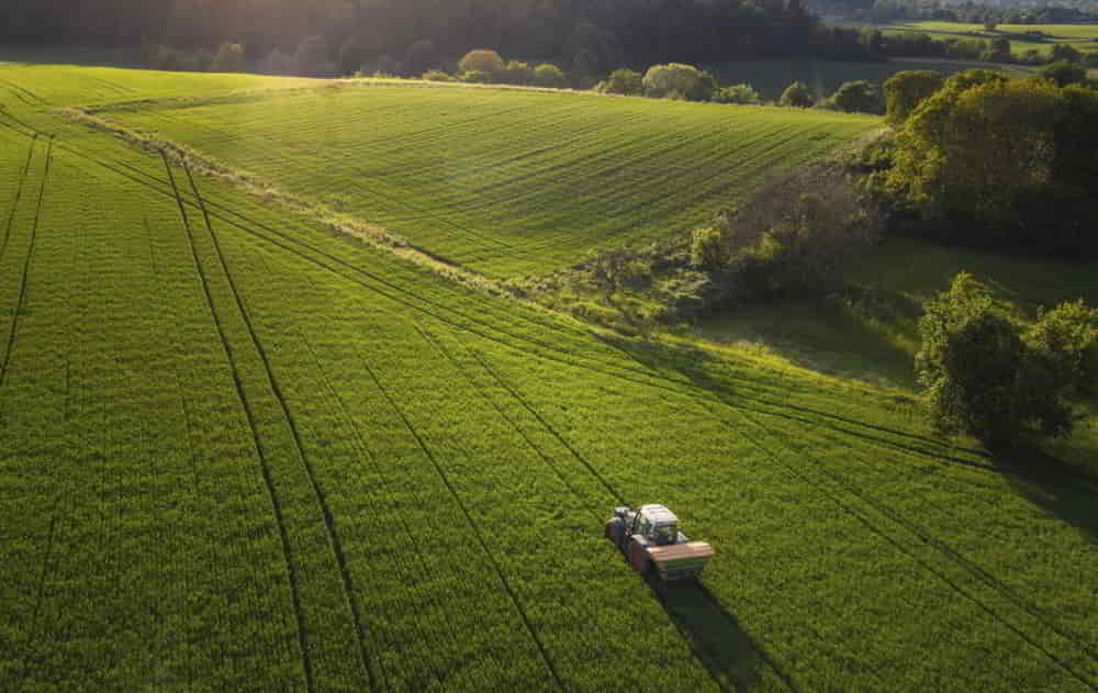 Agroindustria Argentina Acelera Ventas Antes del Fin de Beneficios Impositivos • El Conejo de Wall Street