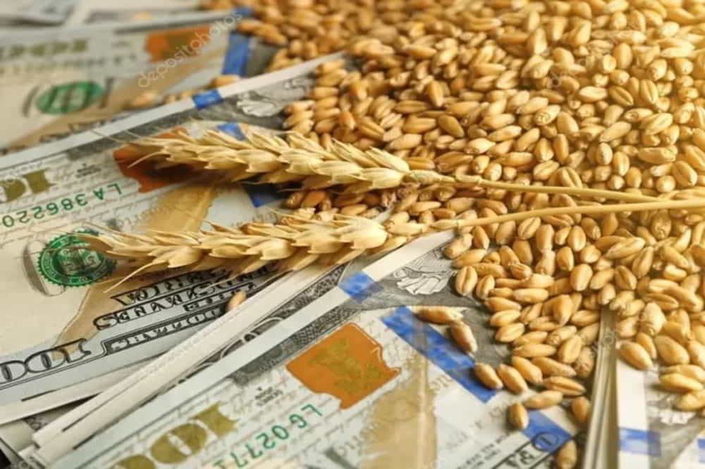 Sector Agropecuario Argentino Liquida USD 3.054 Millones en Mayo con Crecimiento del 17 • El Conejo de Wall Street