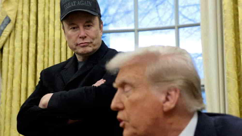 Tesla Pierde 150 Mil Millones por Conflicto entre Musk y Trump • El Conejo de Wall Street
