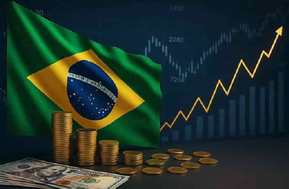 Brasil Registra Avances del 08 Mientras Argentina Presenta Performance • El Conejo de Wall Street
