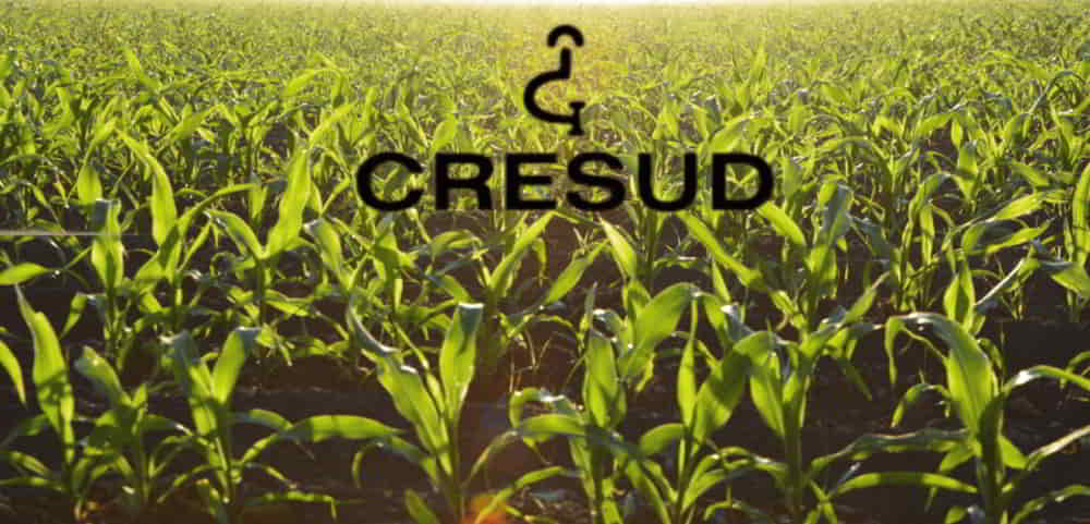 Cresud Lanza Nueva Licitacion de Bonos en Dolar MEP por USD 15 Millones • El Conejo de Wall Street