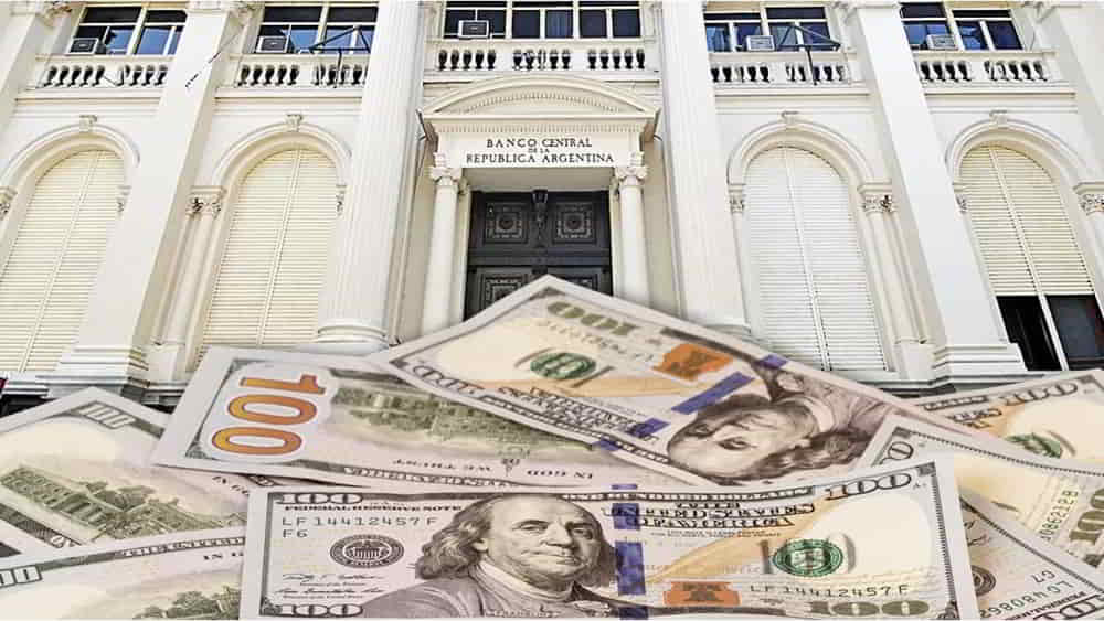 Los Dolares Financieros Caen Mientras el BCRA Suma USD 263 Millones en Reservas • El Conejo de Wall Street