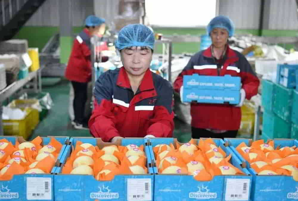 China enfrenta presion record sobre PyMEs industriales con caida del empleo y competencia importadora • El Conejo de Wall Street