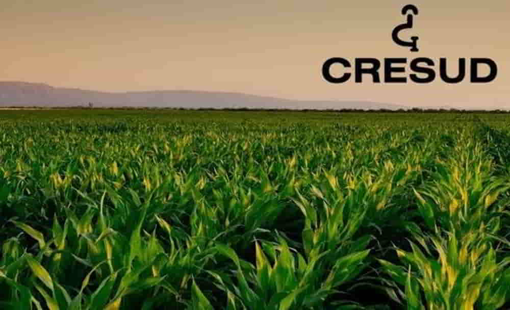 Cresud Lanza Nueva Obligacion Negociable por USD 15 Millones • El Conejo de Wall Street