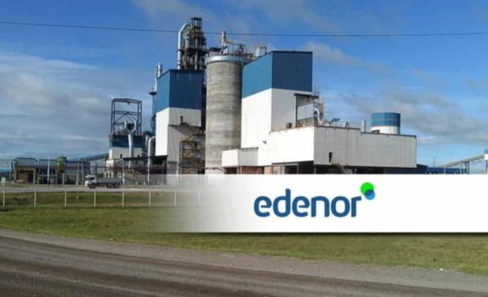 Edenor Lanzara Licitacion por USD 50 Millones en Obligaciones Negociables • El Conejo de Wall Street