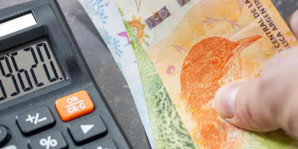 Tesoro Nacional Ofrece LECAPs y Bonos TAMAR Mientras INDEC Publica Inflacion de Julio • El Conejo de Wall Street