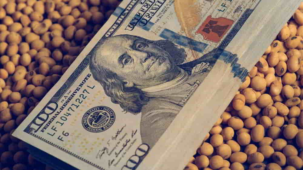 Dolar Argentino Retrocede 4.5 Tras Respaldo de EE.UU . y Suspension de Retenciones • El Conejo de Wall Street
