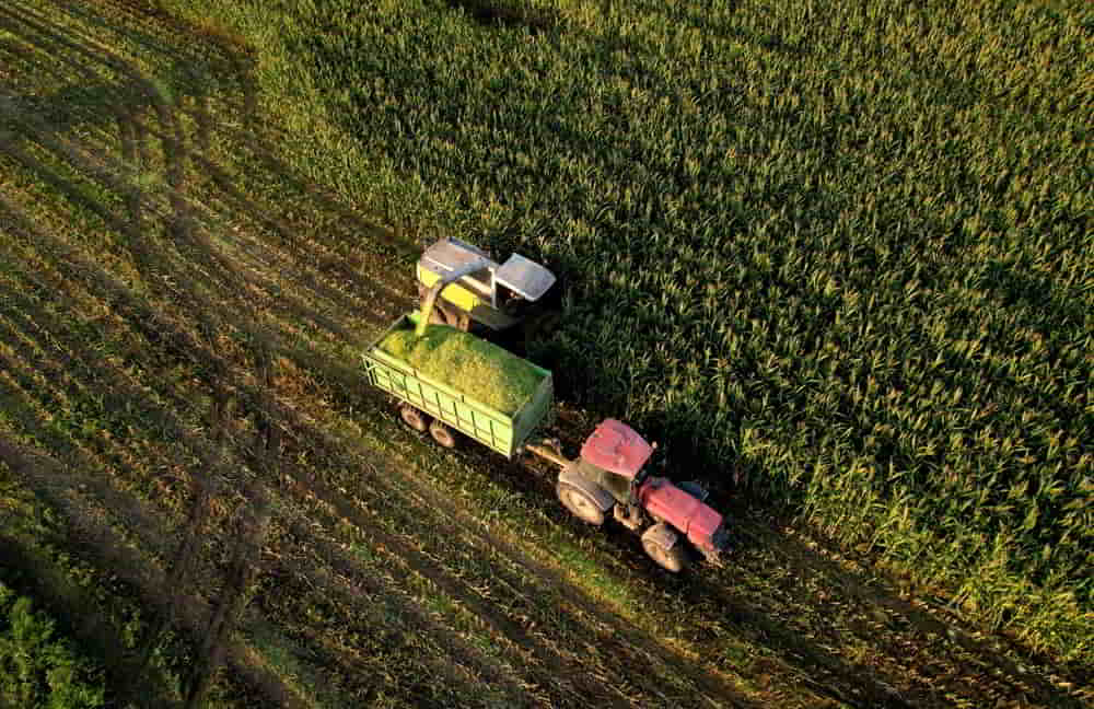 Ventas al Exterior del Agro Alcanzan Record Historico de US4.180 Millones • El Conejo de Wall Street