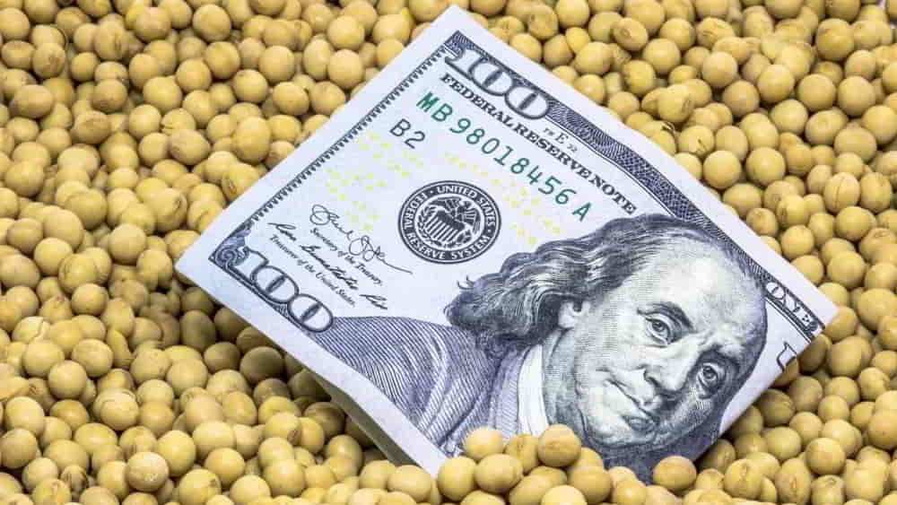 El Precio de la Soja Repunta en Chicago y Podría Sumar USD 1.400 Millones Adicionales a la Producción Argentina El Precio de la Soja Repunta en Chicago y Podria Sumar USD 1.400 Millones Adicionales a la Produccion Argentina • El Conejo de Wall Street