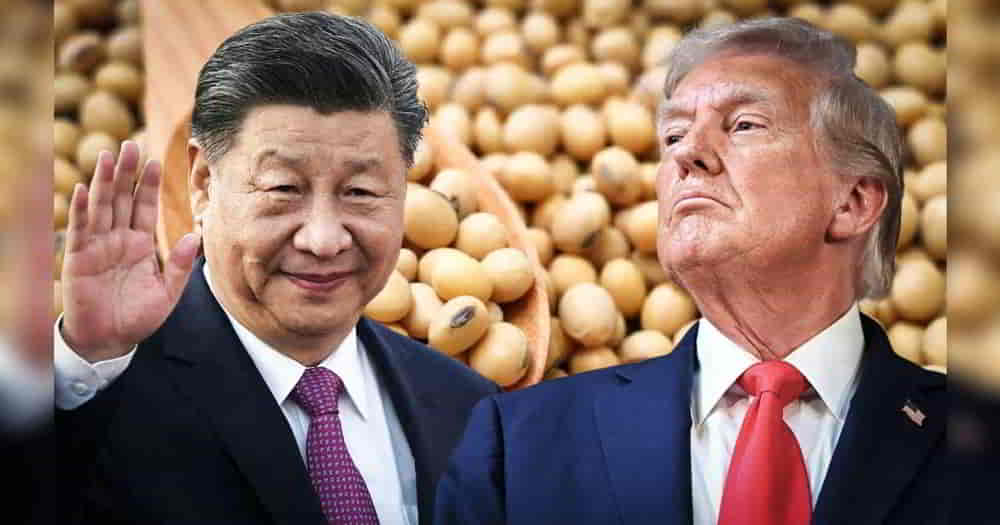 La Soja Avanza 0,6% a USD 412 por Tonelada Tras Acuerdo Comercial entre China y Estados Unidos La Soja Avanza 06 a USD 412 por Tonelada Tras Acuerdo Comercial entre China y Estados Unidos • El Conejo de Wall Street