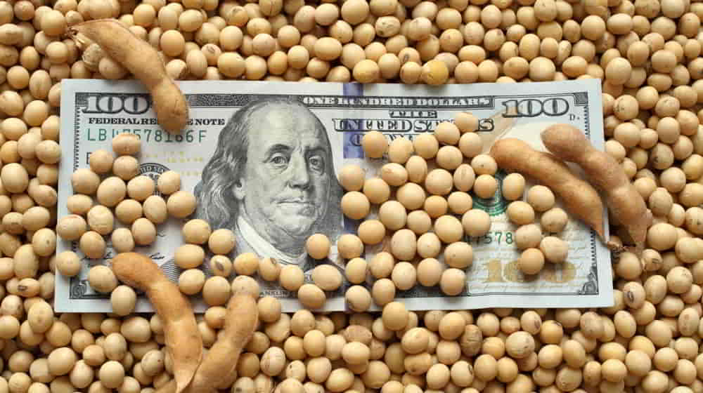 Soja avanza 13 tras reapertura china de exportaciones estadounidenses pese a diferencial arancelario • El Conejo de Wall Street