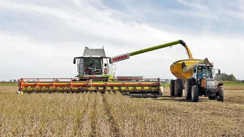 El Gobierno Reduce las Retenciones a las Exportaciones Agropecuarias &bull; El Conejo de Wall Street