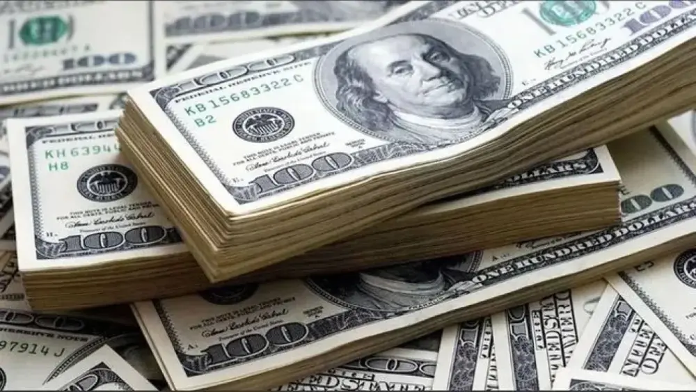 Mercado Cambiario Argentino Mantiene Estabilidad con Intervencion Oficial &bull; El Conejo de Wall Street