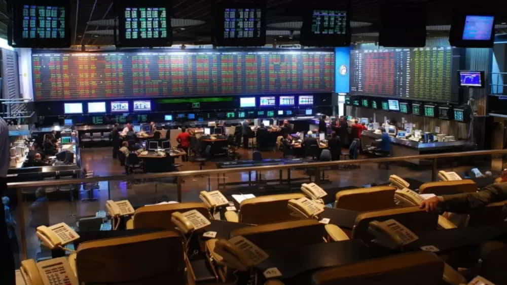 Acciones argentinas avanzan en Wall Street con Cresud Edenor y BBVA liderando subas de hasta 10.8 &bull; El Conejo de Wall Street