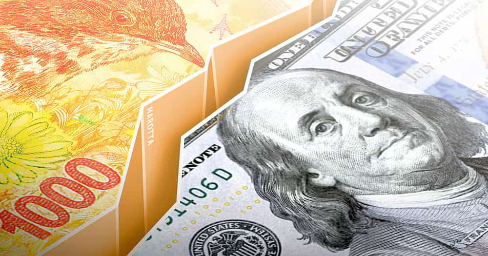 Dólar oficial sube 0.3% a $1,442.5 mientras BCRA acumula compras por USD 1,049 millones en enero Dolar oficial sube 0.3 a 1442.5 mientras BCRA acumula compras por USD 1049 millones en enero • El Conejo de Wall Street