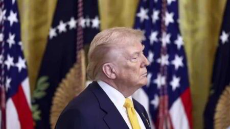 EE.UU . Elevara Aranceles al 15 Percent para Socios Comerciales Clave en el Marco de Nuevas Investigaciones bajo la Seccion 301 &bull; El Conejo de Wall Street