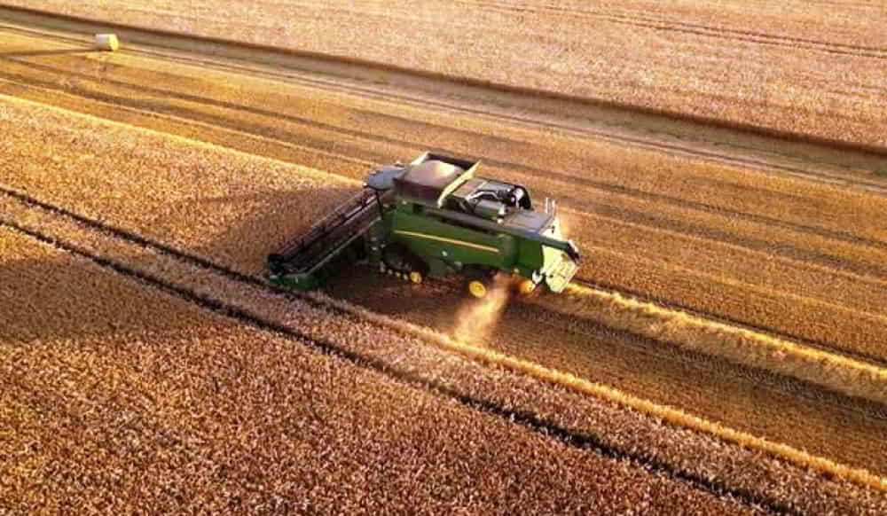 La actividad economica argentina crecio 4,4 por ciento en 2025 impulsada por el sector agropecuario La actividad economica argentina crecio 44 por ciento en 2025 impulsada por el sector agropecuario • El Conejo de Wall Street