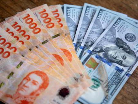 Tesoro Argentino Adjudica Bonos Hard Dollar y Moneda Local con Fuerte Diferenciacion de Tasas &bull; El Conejo de Wall Street