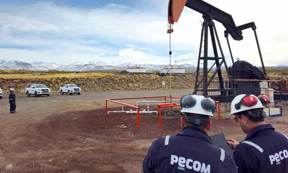 Pecom adquiere participacion de Pluspetrol en el bloque El Corcobo y supera los 50000 barriles diarios &bull; El Conejo de Wall Street