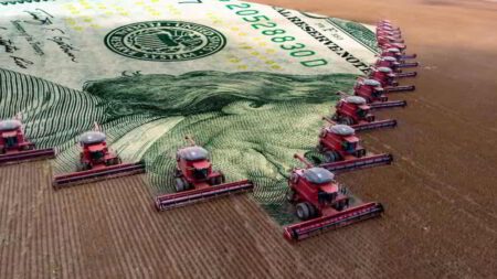 El BCRA habría sumado cerca de USD 2.600 millones en mayo con el agro como principal fuente de divisas