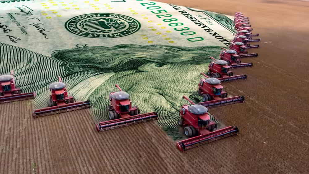 El BCRA habría sumado cerca de USD 2.600 millones en mayo con el agro como principal fuente de divisas El BCRA habría sumado cerca de USD 2.600 millones en mayo con el agro como principal fuente de divisas