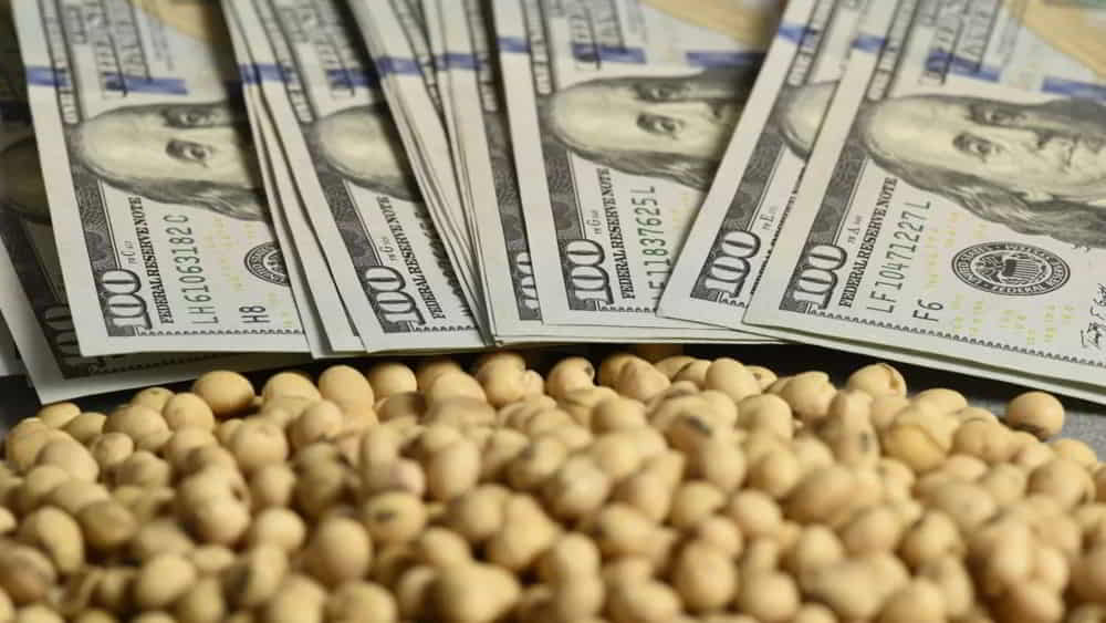 Soja se mantiene estable en USD 4104 mientras China intensifica compras &bull; El Conejo de Wall Street