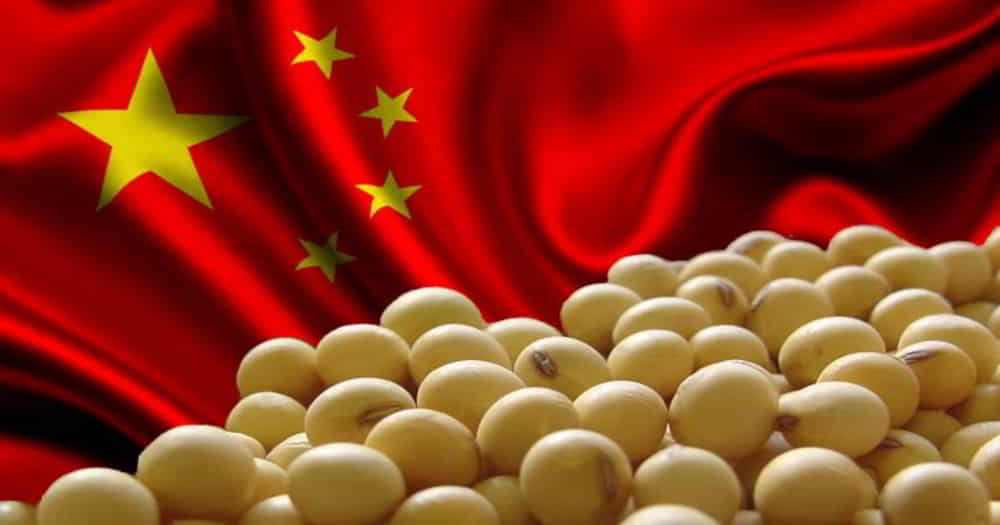 China impulsa la soja a un maximo de 25 meses mientras el cobre retrocede por menor demanda &bull; El Conejo de Wall Street
