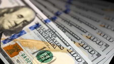 Dolar Oficial Se Mantiene Estable Mientras BCRA Compra USD 34 Millones &bull; El Conejo de Wall Street