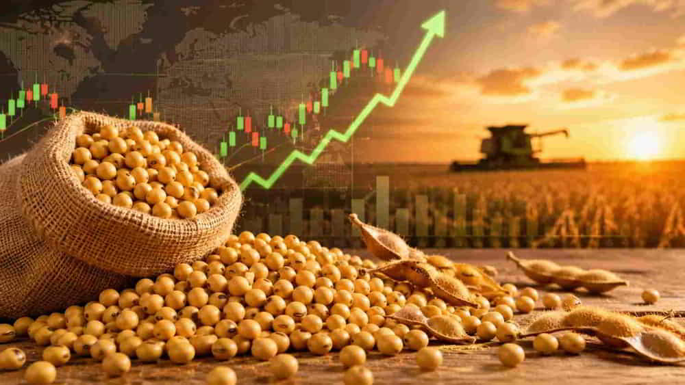 La soja y el cobre subieron mientras el mercado espera los datos del USDA La soja y el cobre subieron mientras el mercado espera los datos del USDA • El Conejo de Wall Street